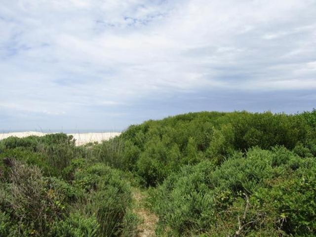Land for sale in Cape St Francis, Eastern Cape