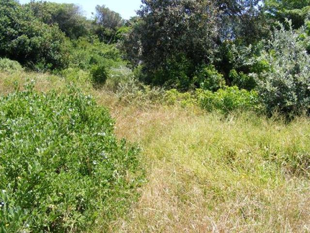 Land for sale in Cape St Francis, Eastern Cape