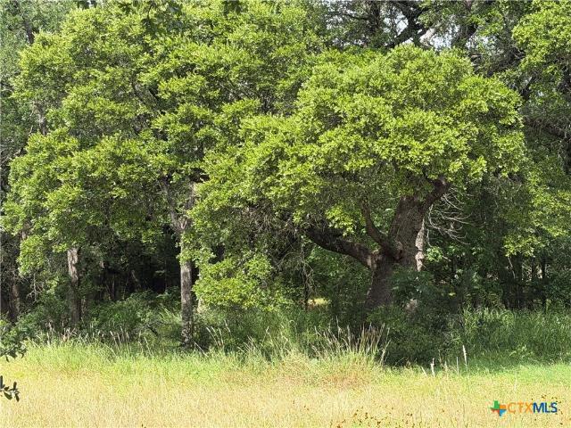 Land for sale in Salado, Texas
