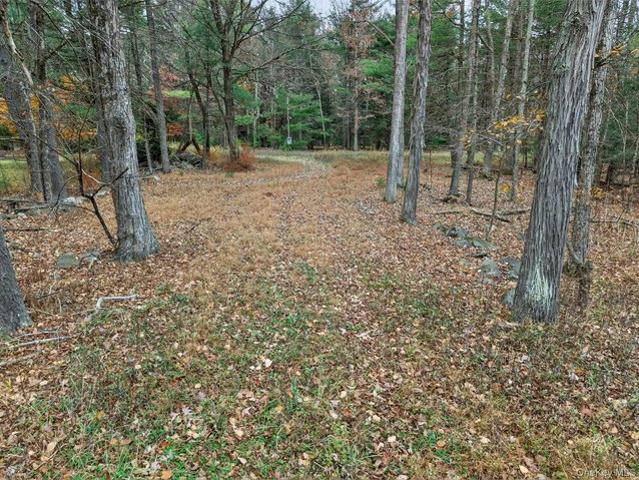 Land for sale in Sparrow Bush, New York