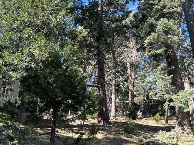 Property for sale in Cedar Glen, California