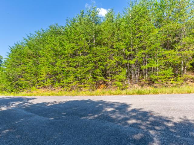 Land for sale in Tennessee