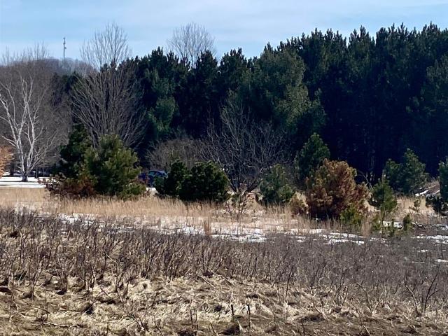 Land for sale in Alden, Michigan