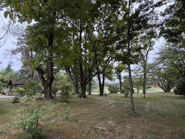 House for sale in Hardcastle, Bowling Green