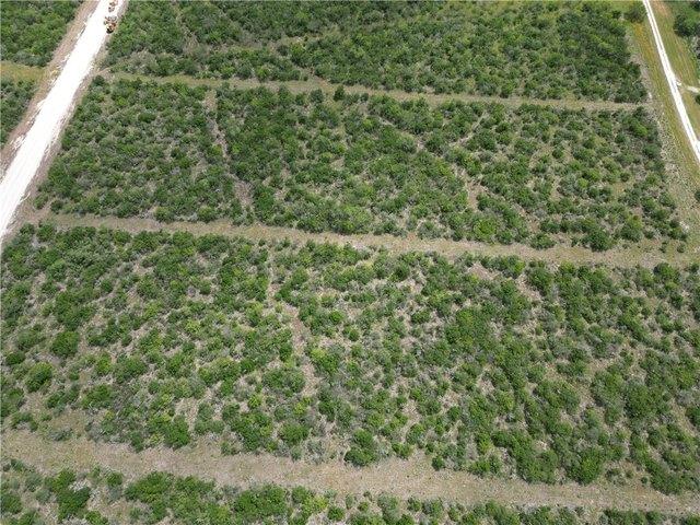 Land for sale in Bee, Texas