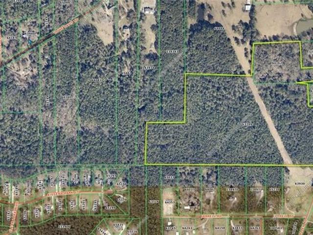 Land for sale in Abita Springs, Louisiana