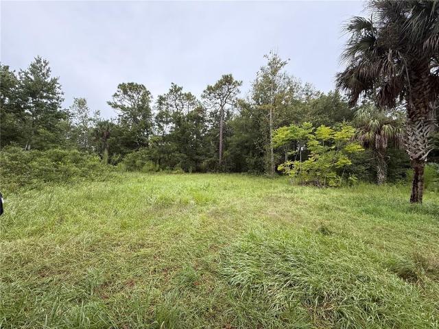Land for sale in Homosassa Springs, Florida