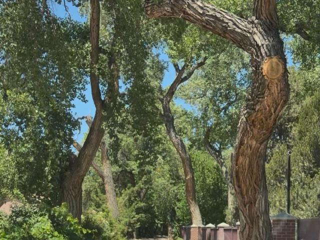 House for sale in New Mexico