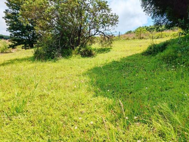 Land for sale in Mopani, Limpopo