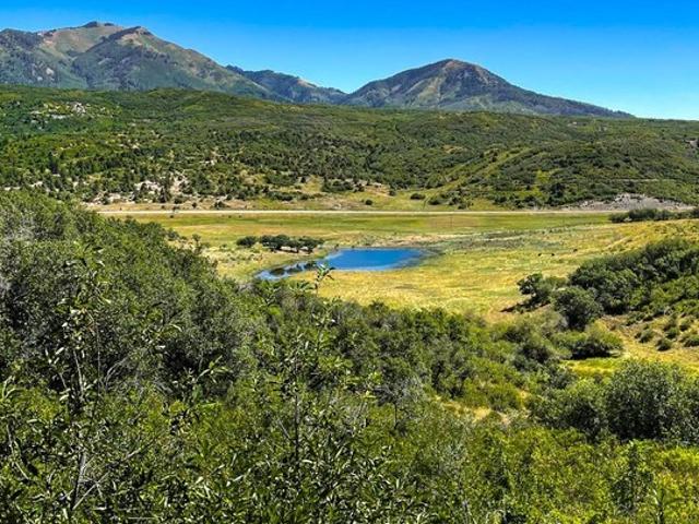 Land for sale in La Plata, Colorado