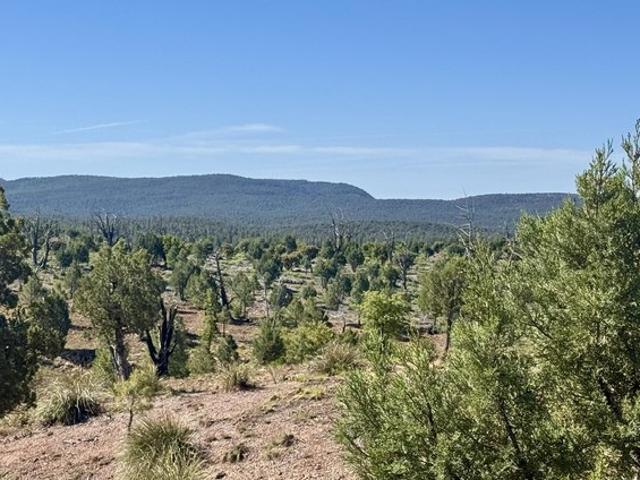 Land for sale in Gila, Arizona
