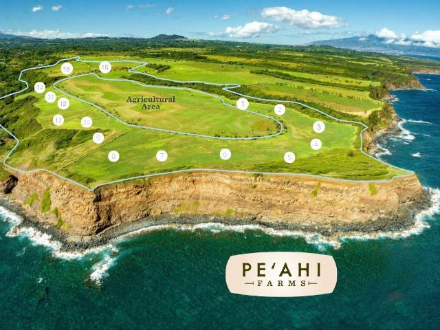 Land for sale in Haiku, Hawaii