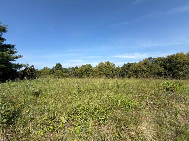 Land for sale in Falmouth, Kentucky