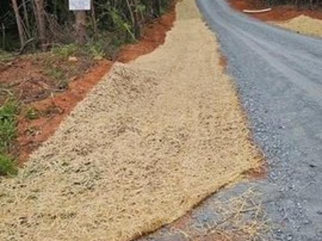 Land for sale in Rutherford, North Carolina
