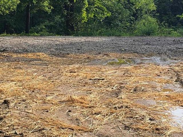 Land for sale in Bruceville, Indiana