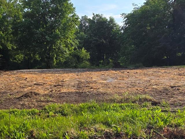 Land for sale in Bruceville, Indiana