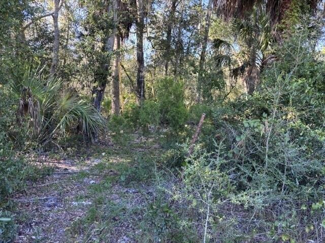 Land for sale in Cedar Key, Levy County