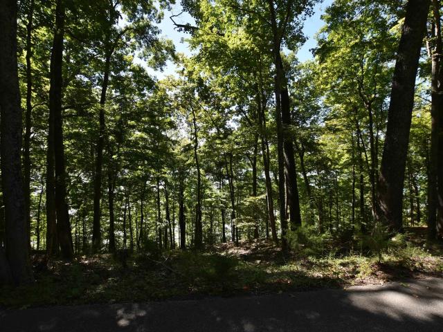 Land for sale in Bloomington Of Minnesota, Indiana