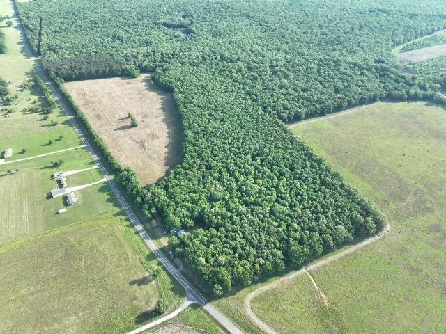 Land for sale in Clarksville, Texas