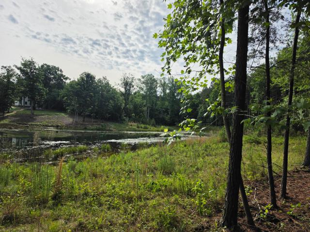 Land for sale in Tennessee
