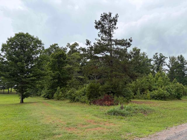 Land for sale in Tennessee