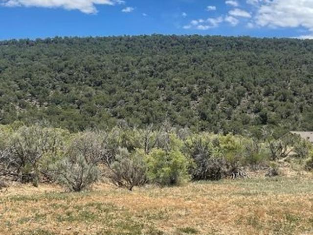 Land for sale in Cedaredge, Delta County