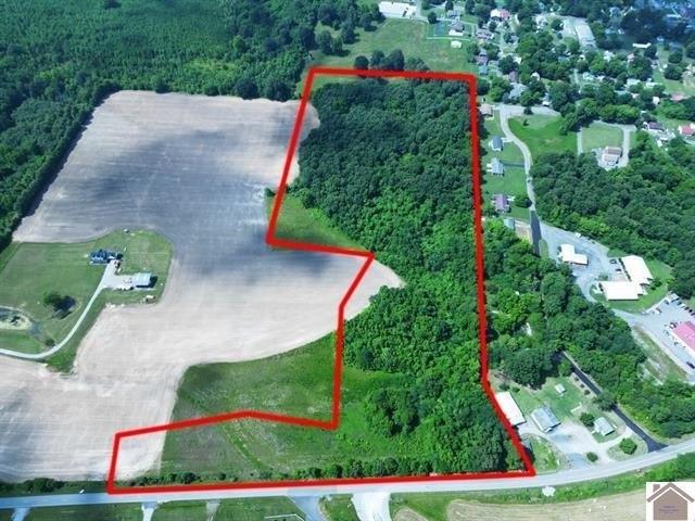 Land for sale in Ledbetter, Kentucky