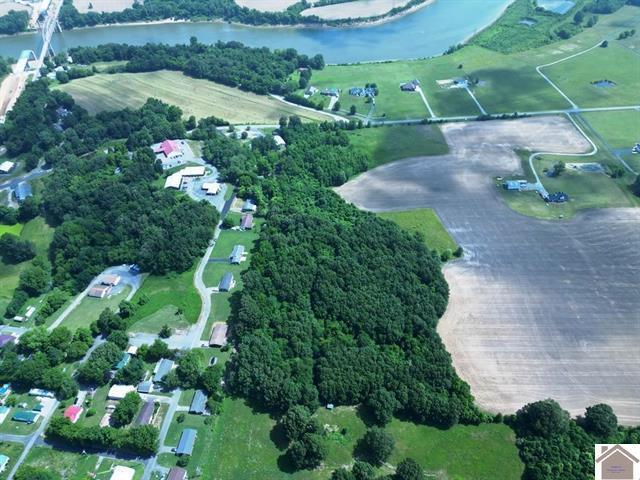 Land for sale in Ledbetter, Kentucky