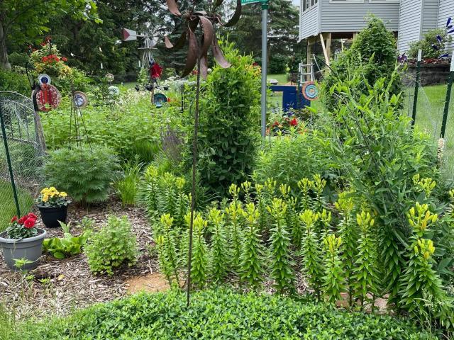 House for sale in Oronoco, Minnesota