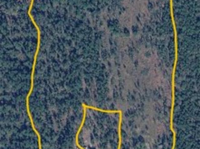 Land for sale in Polk, Texas