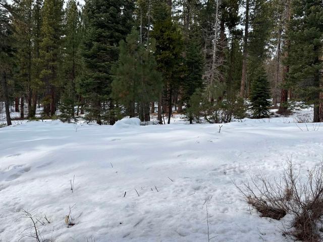 Land for sale in Kings Beach, California