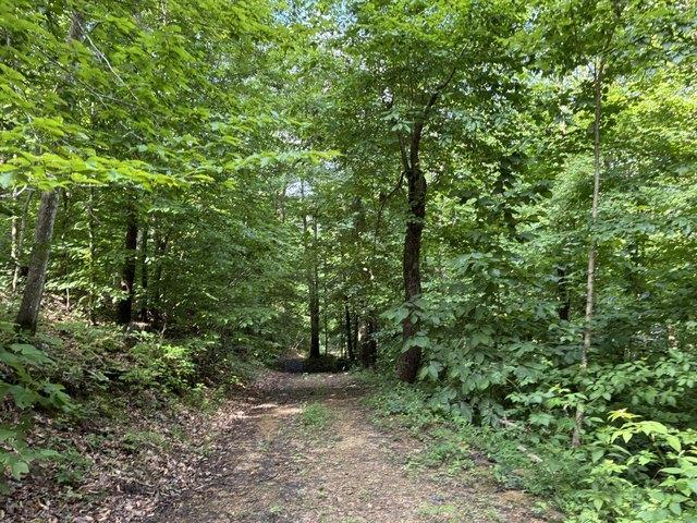 Land for sale in Menifee, Kentucky