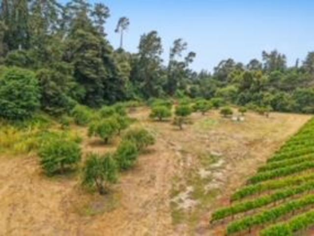 Commercial for sale in California