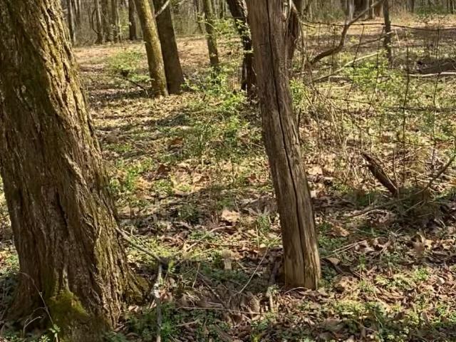 Land for sale in Nolensville, Middle Tennessee