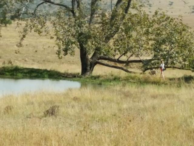 Land for sale in Greytown, Kwazulu-natal