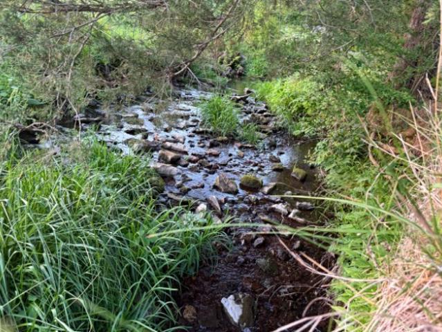 Land for sale in Tennessee