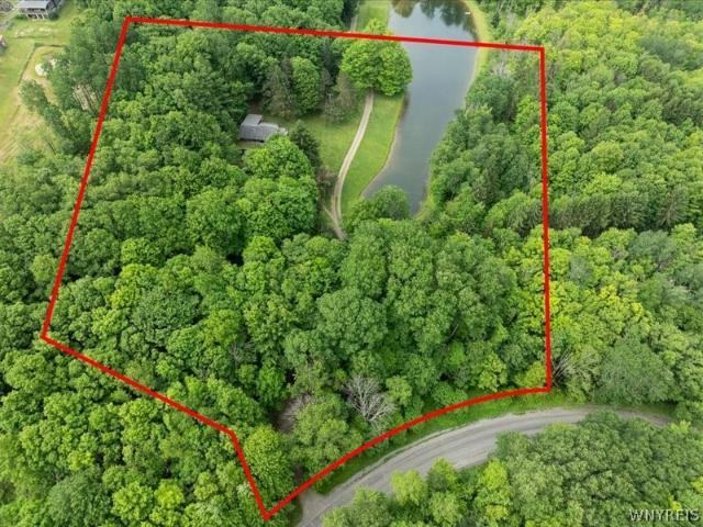 Land for sale in East Otto, New York