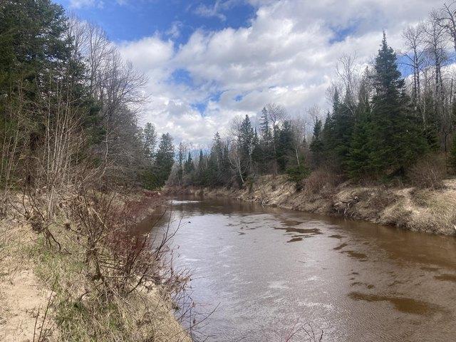 Land for sale in Rudyard, Michigan