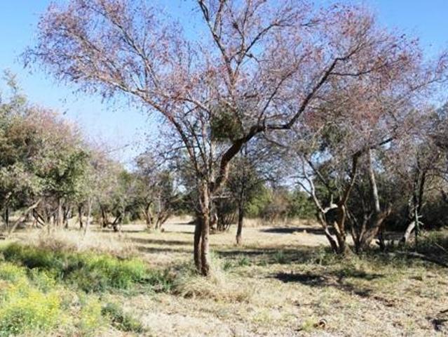 Land for sale in Limpopo