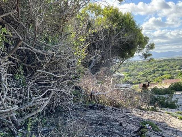 Land for sale in Cape St Francis, Eastern Cape