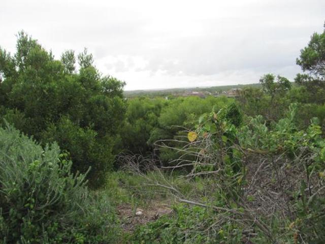 Land for sale in Cape St Francis, Eastern Cape