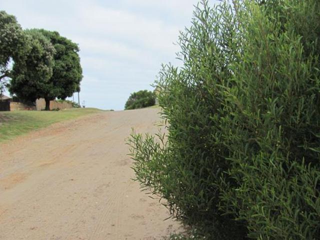 Land for sale in Cape St Francis, Eastern Cape