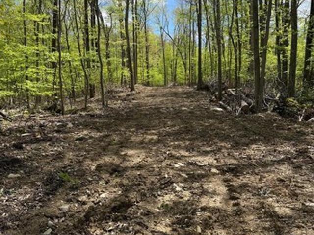 Land for sale in Lloyd, New York