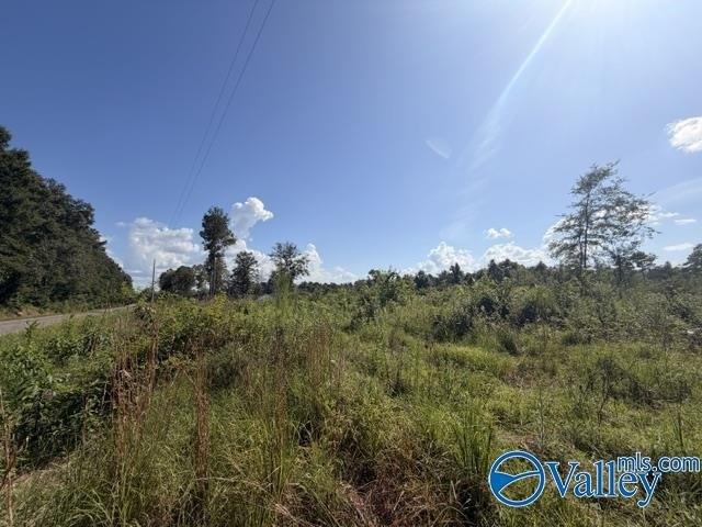 Land for sale in Centre, Alabama