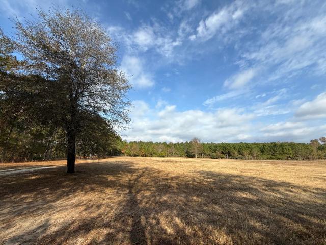 Land for sale in Williston, South Carolina