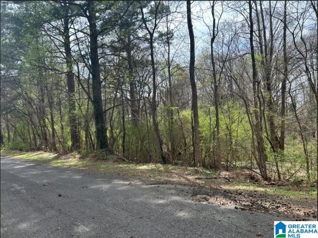 Land for sale in Graysville, Alabama