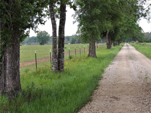 Land for sale in Crockett, Texas