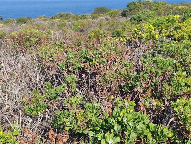 Land for sale in Groot Brak Rivier, Western Cape