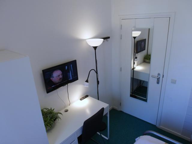 Kamer te huur in Kralingen-Oost, Rotterdam