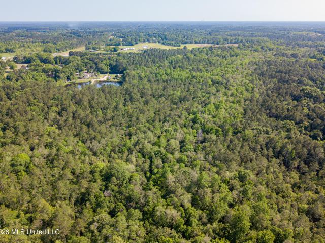 Land for sale in Lucedale, Mississippi